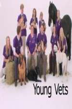 Watch Young Vets Megashare9