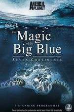 Watch The Magic of the Big Blue Megashare9