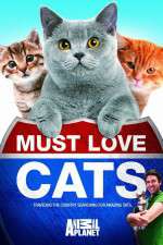 Watch Must Love Cats Megashare9