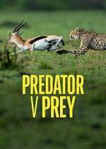 Watch Predator v Prey Megashare9