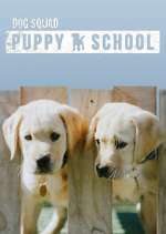 Watch Dog Squad: Puppy School Megashare9
