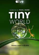 Watch Tiny World Megashare9