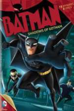 Watch Beware the Batman: Shadows of Gotham Megashare9