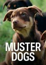Watch Muster Dogs Megashare9
