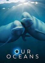 Watch Our Oceans Megashare9