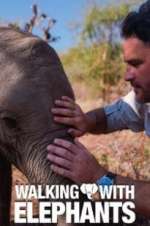 Watch Walking with Elephants Megashare9