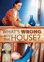 Watch What's Wrong With That House? Megashare9