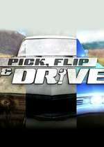 Watch Pick, Flip & Drive Megashare9