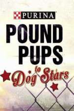Watch Purina Pound Pups To Dog Stars Megashare9