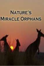 Watch Nature's Miracle Orphans Megashare9