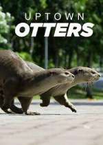 Watch Uptown Otters Megashare9