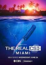 Watch The Real CSI: Miami Megashare9