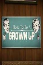 Watch How to be a Grown Up Megashare9