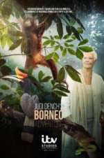 Watch Judi Dench\'s Wild Borneo Adventure Megashare9