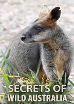 Watch Secrets of Wild Australia Megashare9