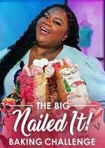 Watch The Big Nailed It! Baking Challenge Megashare9