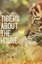 Watch Tigers About the House Megashare9