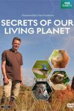Watch Secrets of Our Living Planet Megashare9
