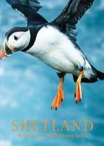 Watch Shetland: Scotland's Wondrous Isles Megashare9