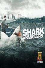 Watch Shark Wranglers Megashare9