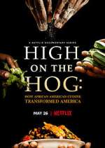 Watch High on the Hog: How African American Cuisine Transformed America Megashare9