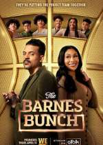Watch The Barnes Bunch Megashare9