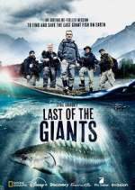 Watch Last of the Giants: Wild Fish Megashare9