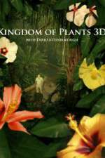 Watch Kingdom of Plants 3D Megashare9