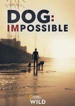 Watch Dog: Impossible Megashare9
