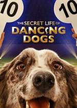 Watch The Secret Life of Dancing Dogs Megashare9