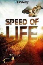 Watch Discovery Channel Speed Of Life Megashare9