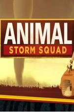 Watch Animal Storm Squad Megashare9