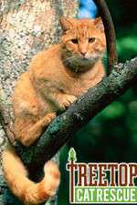 Watch Treetop Cat Rescue Megashare9