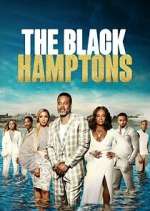 Watch Carl Weber's The Black Hamptons Megashare9