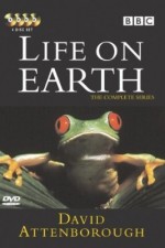Watch Life on Earth Megashare9