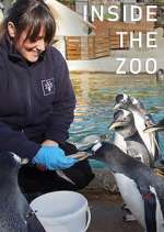 Watch Inside the Zoo Megashare9