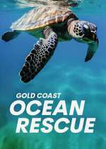Watch Gold Coast Ocean Rescue Megashare9