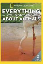 Watch Everything You Didnt Know About Animals Megashare9