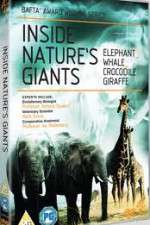 Watch Inside Nature's Giants Megashare9