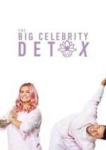 Watch The Big Celebrity Detox Megashare9