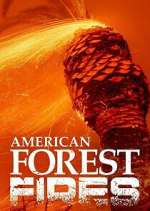 Watch American Forest Fires: The Untold Story Megashare9