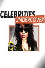 Watch Celebrities Undercover Megashare9