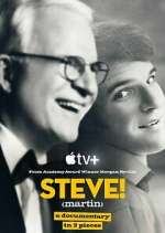 Watch STEVE! (martin) a documentary in 2 pieces Megashare9