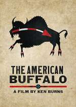 Watch The American Buffalo Megashare9