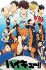 Watch Haikyuu!! Megashare9