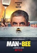 Watch Man Vs Bee Megashare9