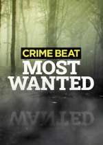Watch Crime Beat: Most Wanted Megashare9