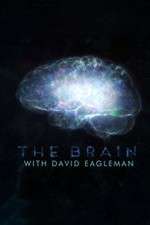 Watch The Brain with Dr David Eagleman Megashare9