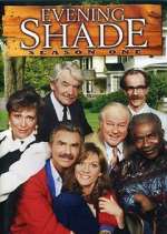 Watch Evening Shade Megashare9