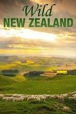 Watch Wild New Zealand Megashare9